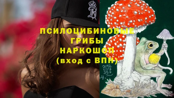 Альфа ПВП Надым