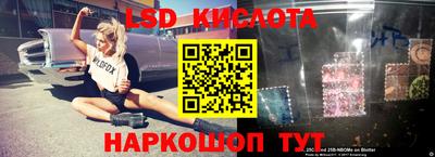 СК Гагарин