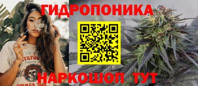 СК Гагарин