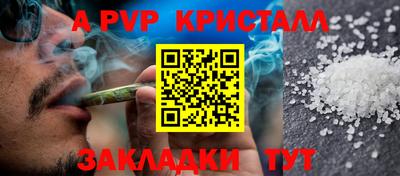 СК Гагарин