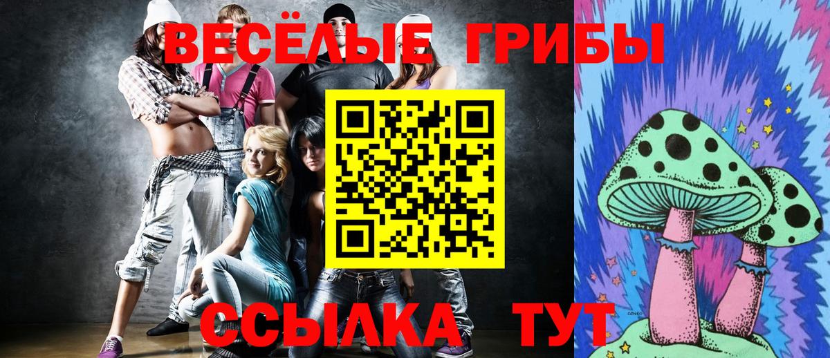 Псилоцибиновые грибы мухоморы Каспийск