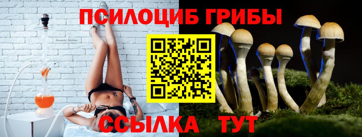 где найти   Каспийск  Галлюциногенные грибы мицелий 